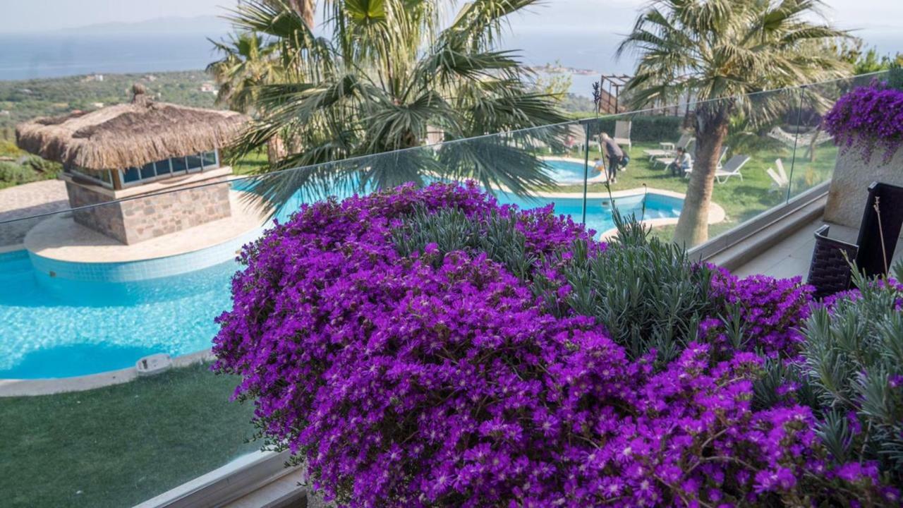 Assos Alis Farm Boutique Hotel & Spa Exteriér fotografie
