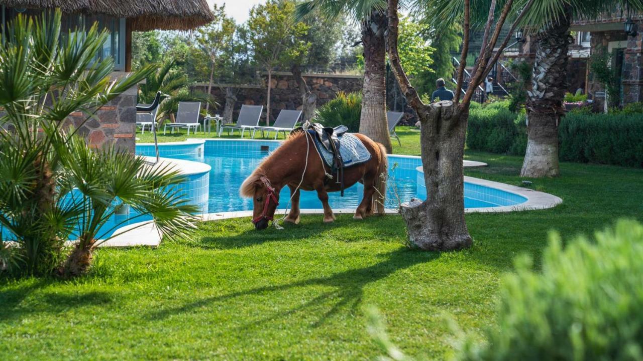 Assos Alis Farm Boutique Hotel & Spa Exteriér fotografie