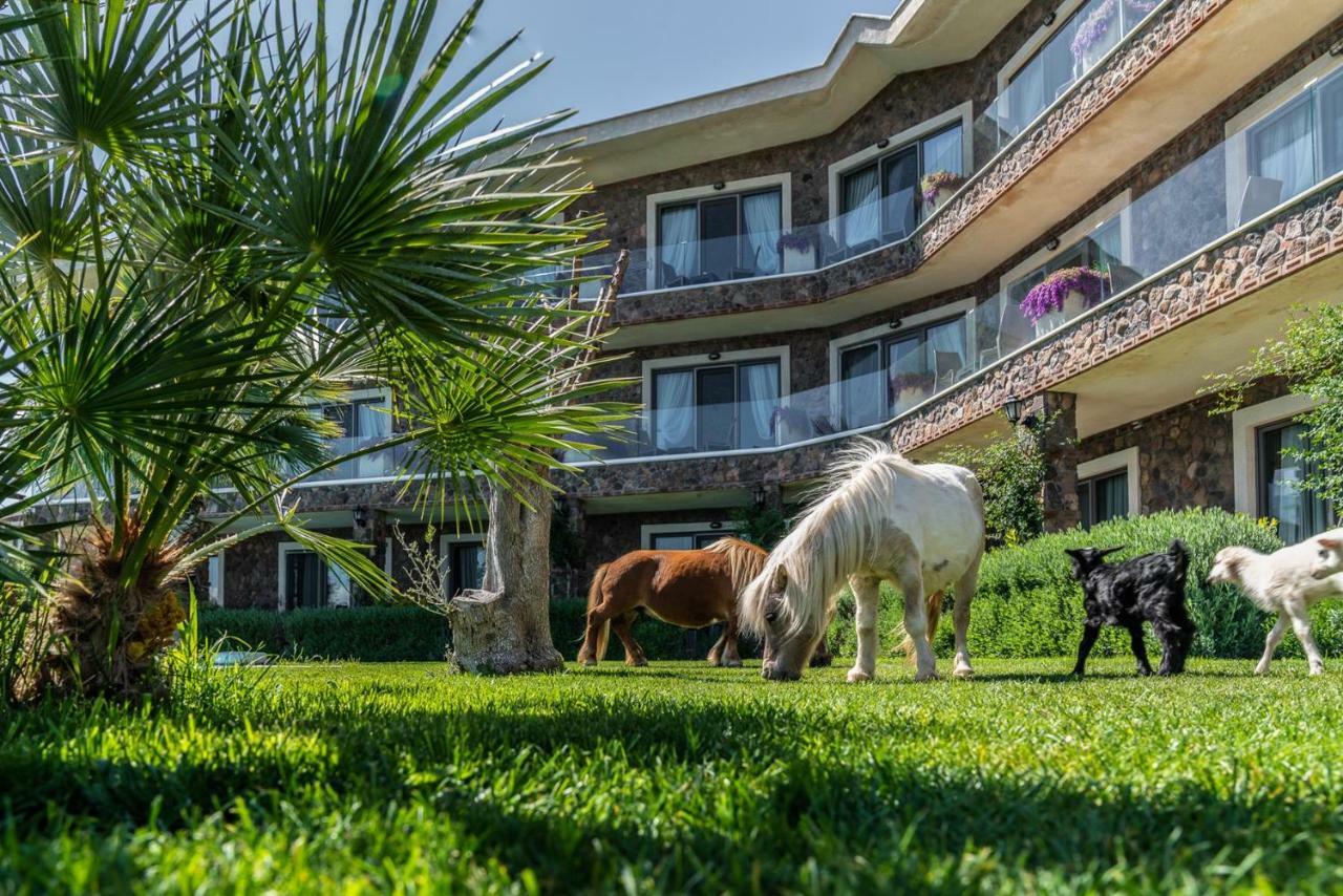 Assos Alis Farm Boutique Hotel & Spa Exteriér fotografie